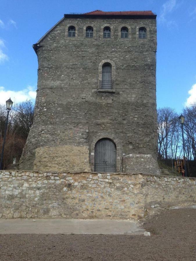 Ratstrasse Im Kyffhaeuser - Krumm & Schief Lägenhet Bad Frankenhausen Exteriör bild